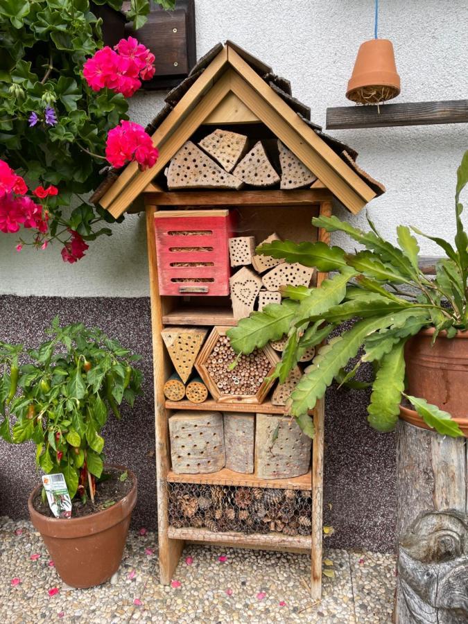 Ferienwohnung Sonnschein Bad Mitterndorf Exterior foto